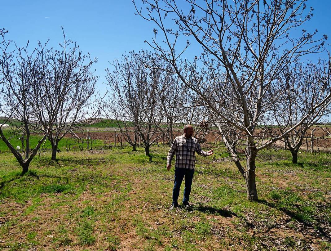 Tarımda tarihin en büyük felaketi yaşanıyor! Meyve, sebze fiyatlarında rekor artış yaşanacak 35